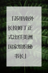 苏里南外长拉姆丁正式出任美洲国家组织秘书长